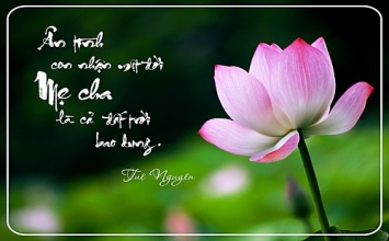 Lời hay ý đẹp